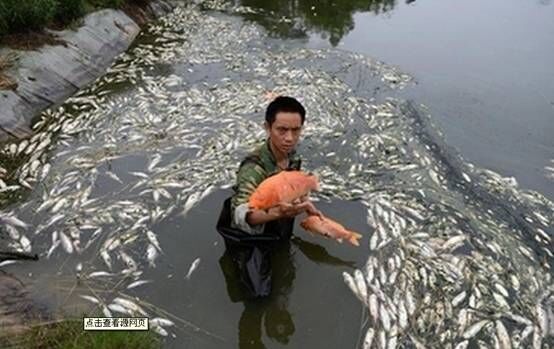 水污染嚴重